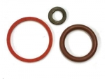 Seal Ring; Seal Ring, injector