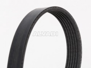 Contitech 6PK1000/ V-Ribbed Belts